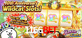 1166bet